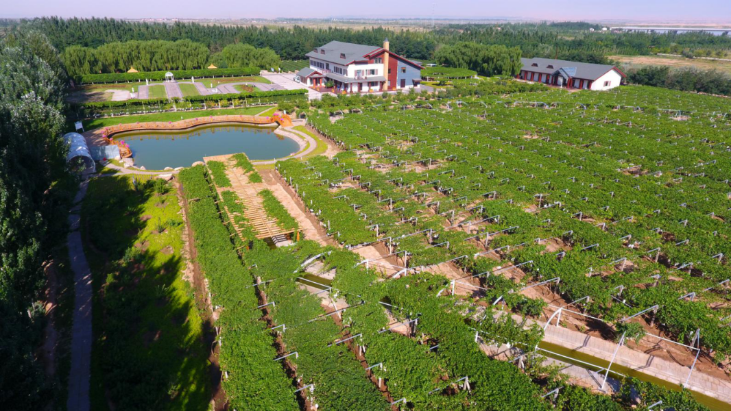 微信图片_20221028174110