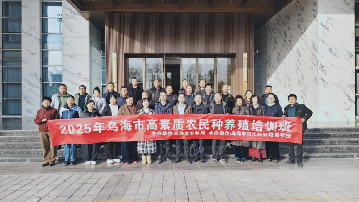 图片36 图片36