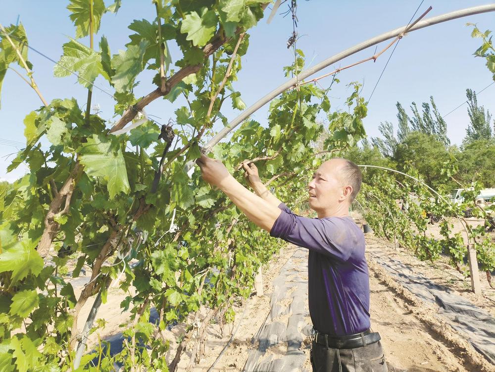 56ae805fc180830f5c9b23bf22e4c59 56ae805fc180830f5c9b23bf22e4c59