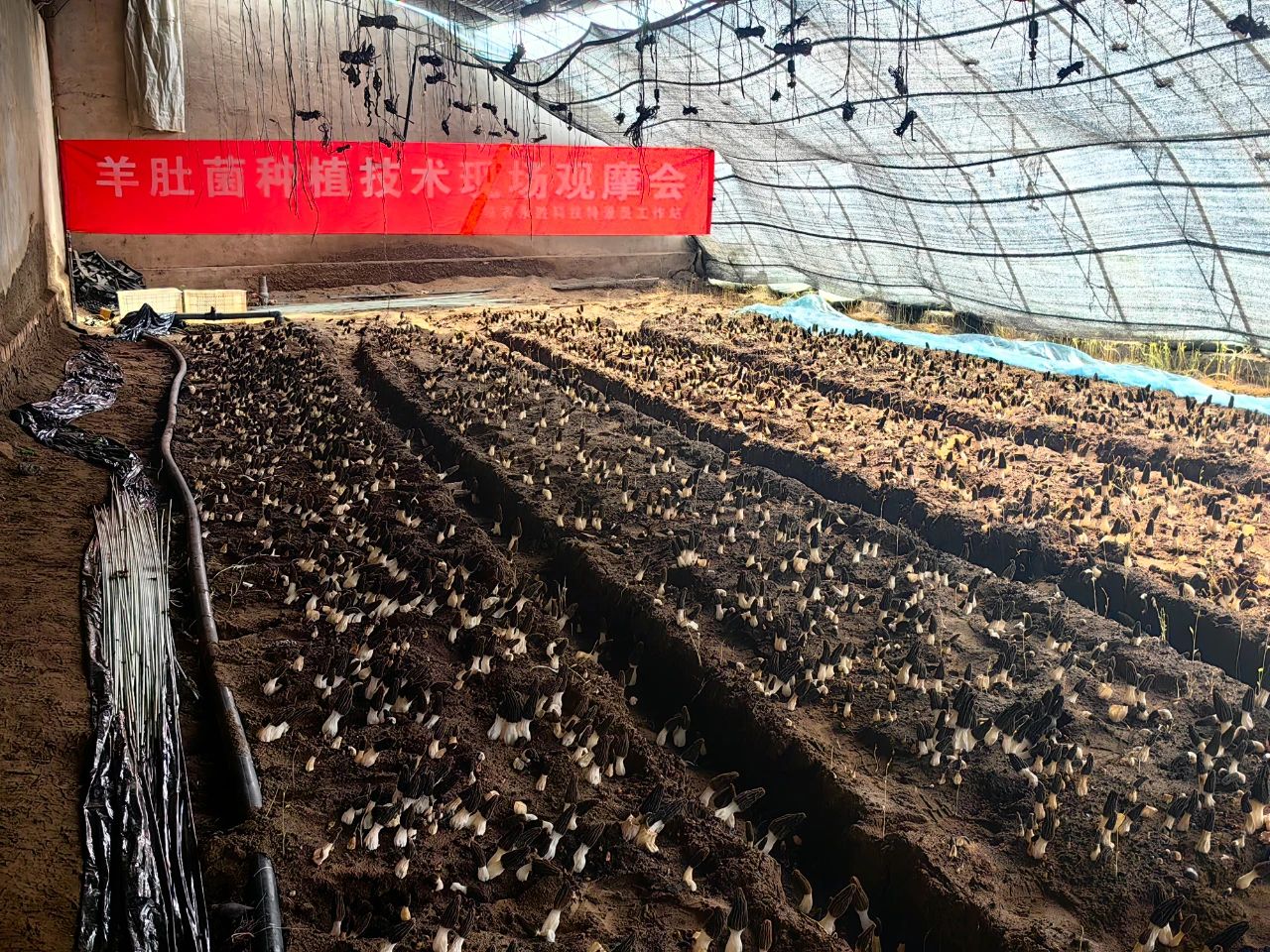 微信图片_20240516092304 微信图片_20240516092304