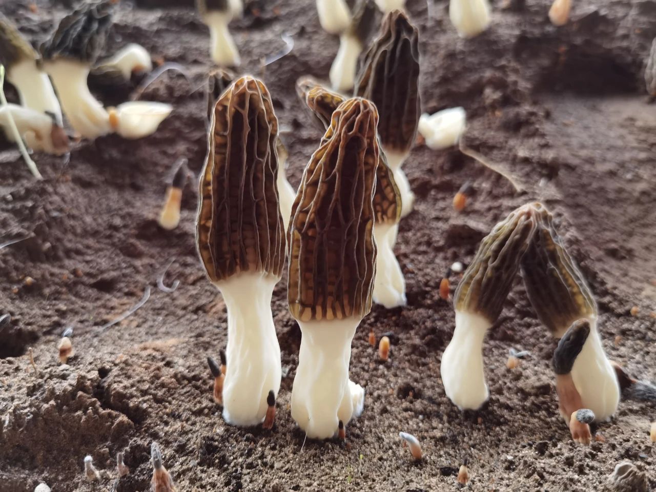 微信图片_20240516092442 微信图片_20240516092442