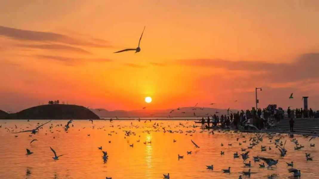 屏幕截图 2026-08-24 091645 屏幕截图 2026-08-24 091645