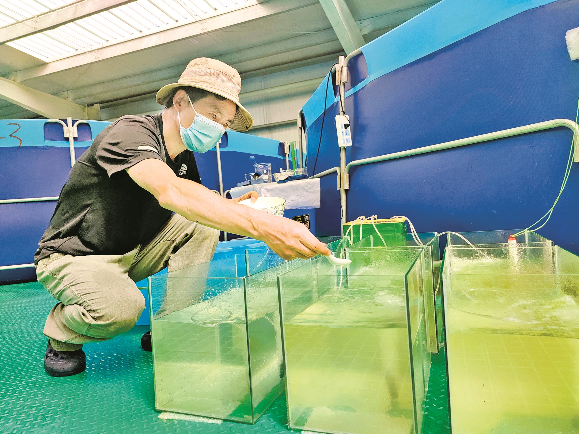 致富经室内养虾视频_致富经淡水虾养殖视频_致富经养虾