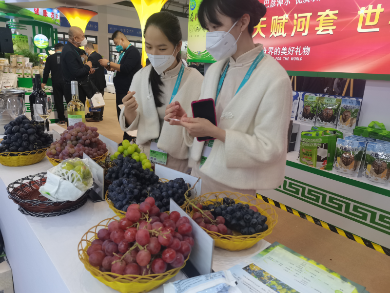 图片15