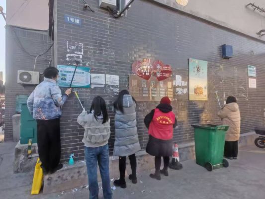 1月31日 美丽中国 我是行动者—清除城市“牛皮癣”志愿服务1