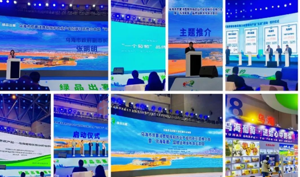 截图-2023年3月24日 16时48分46秒