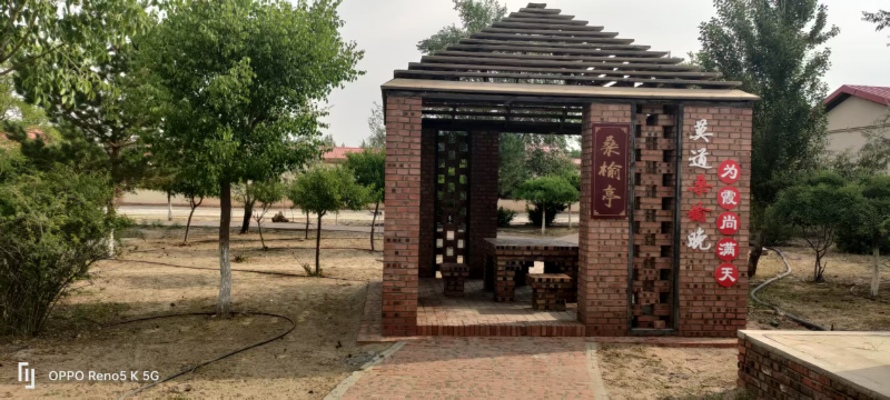 图片4